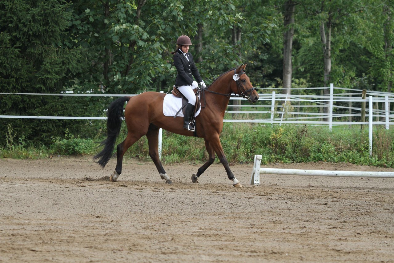 Bild 186 - WBO-Turnier am 18.9.11